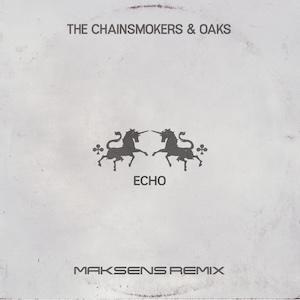 Pochette Remix Echo vignette